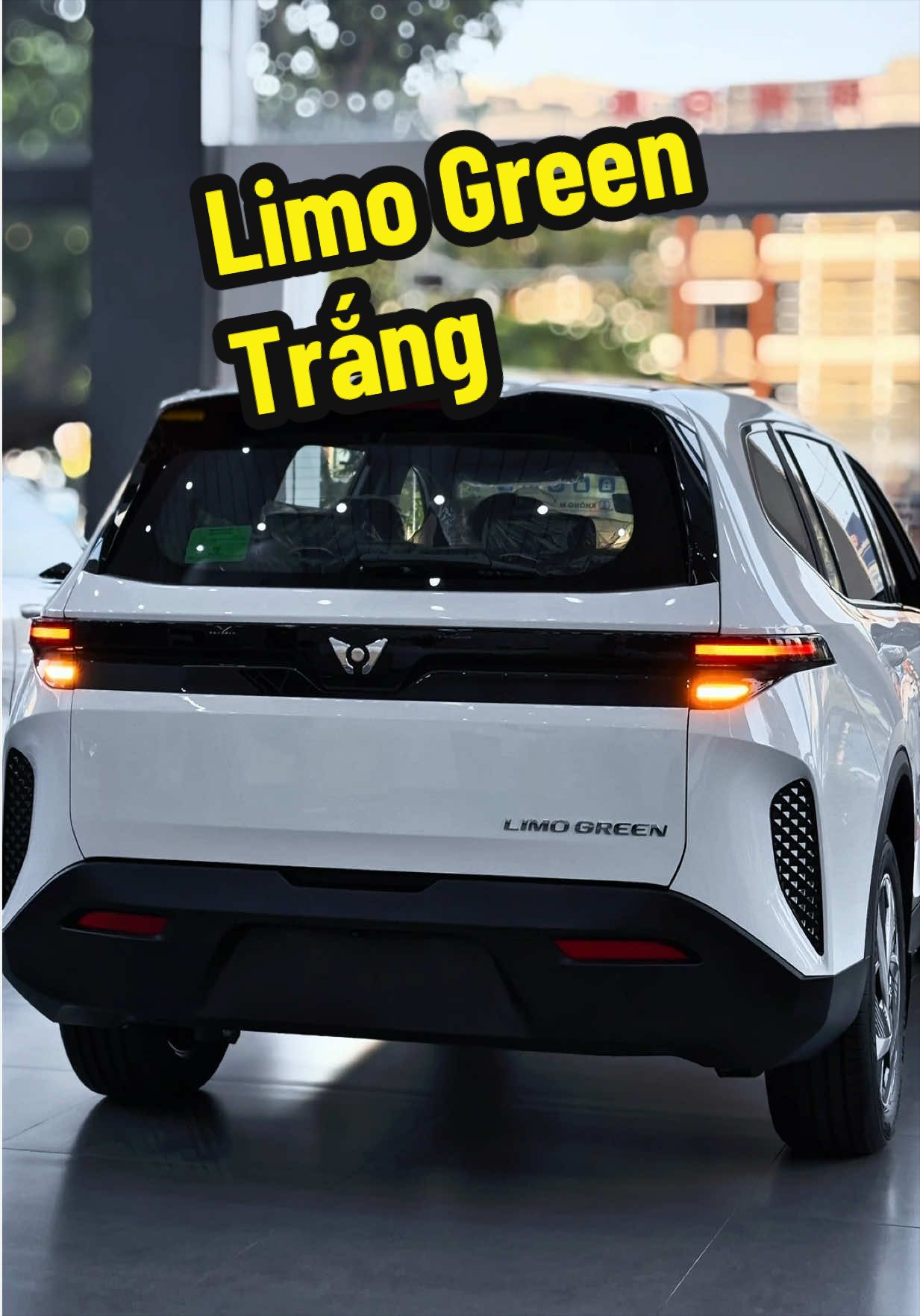 Đóng lời 1tr2 vẫn dư 30 - Chốt anh em ơi #vinfast #limogreen #limo #mpv7 