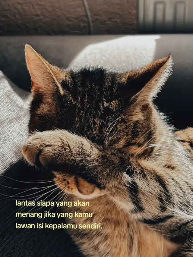 Berikut adalah cara agar video Anda cepat FYP: 1. Optimasi Konten dan Interaksi * Gunakan Hook Kuat: Buat penonton penasaran, terkejut, atau terhibur di 3 detik pertama agar mereka tidak langsung swipe video Anda. * Durasi Pendek & Padat: Video berdurasi singkat lebih mudah diselesaikan oleh penonton (completion rate tinggi), yang disukai oleh algoritma TikTok. * Pancing Interaksi: Selalu akhiri video dengan pertanyaan atau ajakan bertindak (CTA) agar penonton mau memberikan like, comment, dan share.  2. Manfaatkan Tren TikTok * Gunakan Lagu/Sound Viral: Gunakan audio yang sedang naik daun. Anda bisa mencari referensi sound yang sedang tren di menu Creator Searchatau melalui wawasan kreator. * Ikuti Challenge: Sesuaikan konten Anda dengan challenge atau topik yang sedang ramai diperbincangkan di linimasa.  3. Jadwal dan Konsistensi Postingan * Posting di Jam Ramai (Prime Time): Unggah video Anda pada saat audiens sedang aktif, biasanya pada jam makan siang (12:00-13:00) atau waktu istirahat malam (19:00-21:00). * Konsisten: Buat jadwal rutin untuk mengunggah konten. Konsistensi membantu algoritma TikTok mengenali niche (tema) spesifik akun Anda.  4. Pengaturan Akun * Akun Publik: Pastikan akun Anda tidak di-private agar video bisa direkomendasikan secara luas. * Gunakan Akun Kreator: Ubah jenis akun menjadi Akun Kreator/Bisnis agar Anda bisa mengakses fitur analitik dan wawasan secara gratis.  #haiiyooo #fyp #beranda #katakata #storytime 