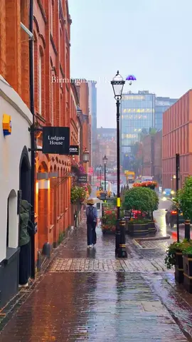 #birmingham #barish #frypage #viralvideos #birminghamuk 