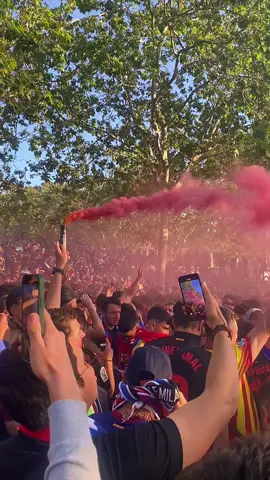 Puta Madrid 🤮