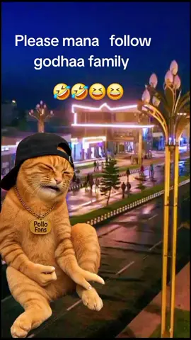 #CapCut 