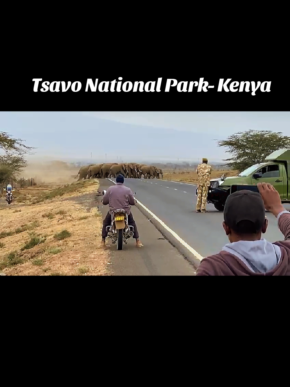 years ago #wildlife #kenyantiktok🇰🇪 #tsavo #nationalpark #adventure 