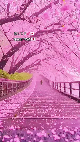 夢の都は、想像よりも美しい。 স্বপ্নের শহর কল্পনার চেয়েও বেশি সুন্দর । #japannature #japanculture #dreamcountryjapan🇯🇵🇯🇵日本 #cheeryblossom #sakura 