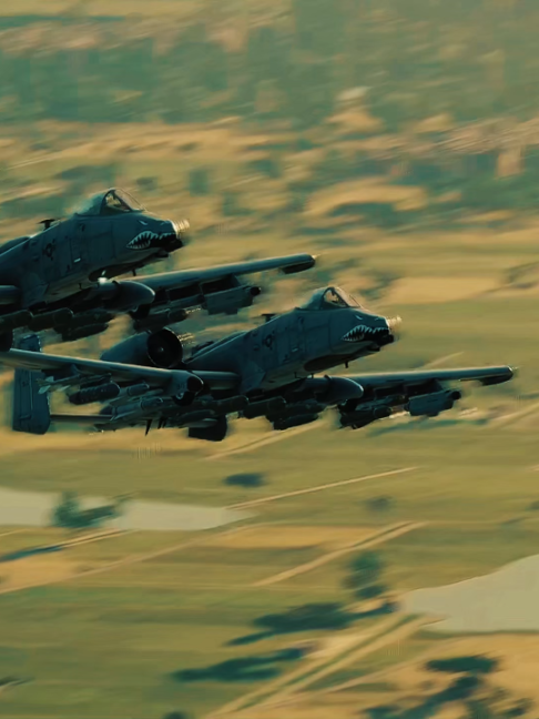 I wanna brrrt with the A-10 #aviation #a10 #brrrt #dcs #viral