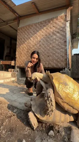 @Mahasvin Farm official 