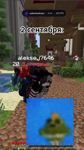 promo - ZRG PulseVisuals.pro | tt.FunTime.su #pulsevisuals #funtime #фантайм #рек #Minecraft 