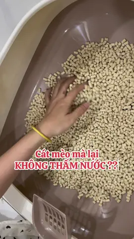 Nuôi mèo mà không nghèo?? Dễ thôi Cá chỉ cho 👌 Mua cái khay ẻ 2 tầng này về đi các sen. Tiết kiệm tiền cát x3 lần nhé. Công nghệ mới từ Nhật Bản - chuyên gia về MÈO 🐈 #TikTokShop99 #xuhuong #unicharmpet #pet #meow 