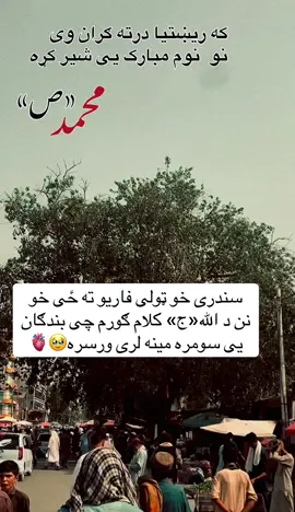 #پشتون_تاجیک_هزاره_ازبک_زنده_باد🇦🇫 #islamic_media #viral #foruyou #foryoupage❤️❤️ 