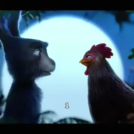 #funnyvideos #pourtoi #un lapin est tombé amoureux d'une poule #😅😅😅