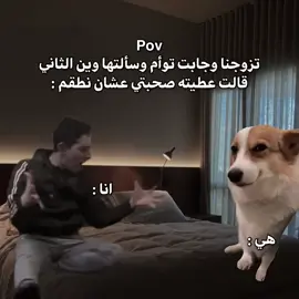 #الشعب_الصيني_ماله_حل😂😂 