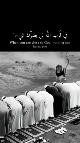 #اكسبلورexplore #creatorsearchinsights #دعمكم_لايك_ومتابعه_واكسبلور_حته_استمر 