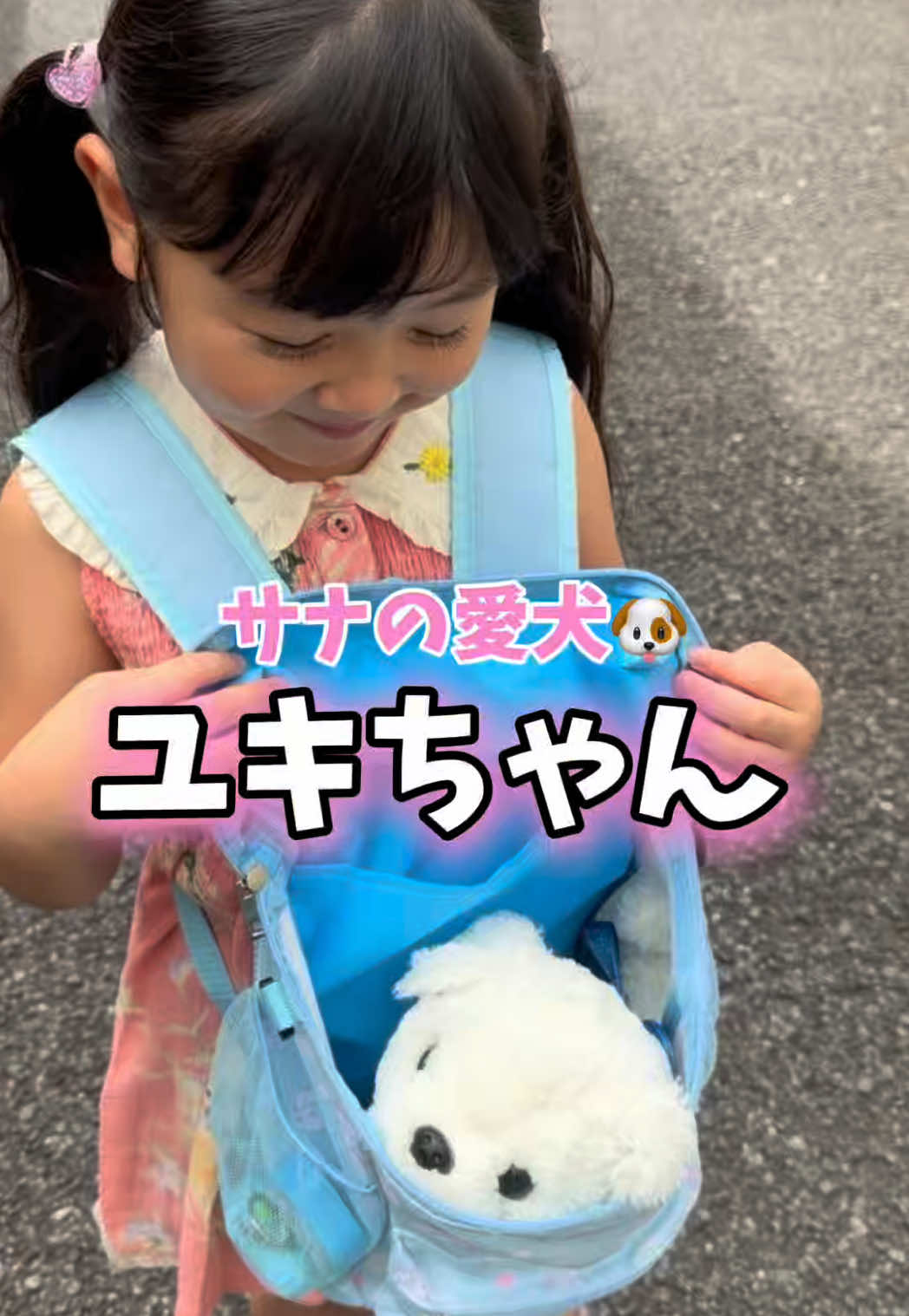 ついに我が家にも愛ワンちゃんがやってきました！🐶笑 名前はユキちゃんです❄️🤍 ユキちゃんでお世話の練習たくさんして、 いつの日か、いつの日か？ 我が家にもワンちゃんお迎えできたらいいね🩷 これまで、あまり生き物にそこまで興味がなかったので、 また新たなサナの成長と一面がみれて 嬉しいです☺️ #さなちゃん  #ワンちゃん #子どものいる暮らし 