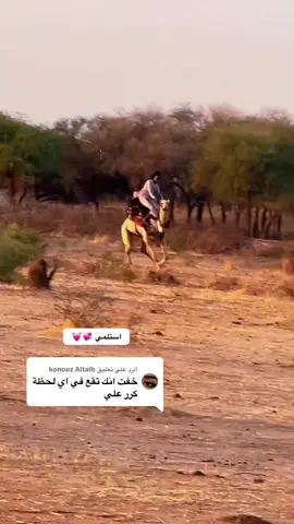 الرد على @konouz Altaib @عيسي🫆 