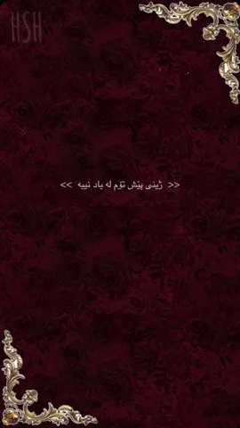 #foryou #fyp #🖤 #﮼حەسرەت