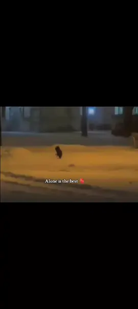Alone🫀🫀🫀🫀🫀🫀#cat#viral#video
