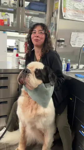 He’s 197lbs! #vetmed @Viara 