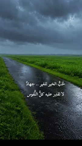 #عابر_سبيل 