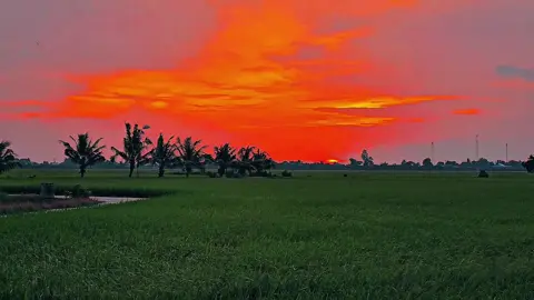 Thương em lâu rồi...#chill #xuhuong #canhdepmientay #viral #binhyen 