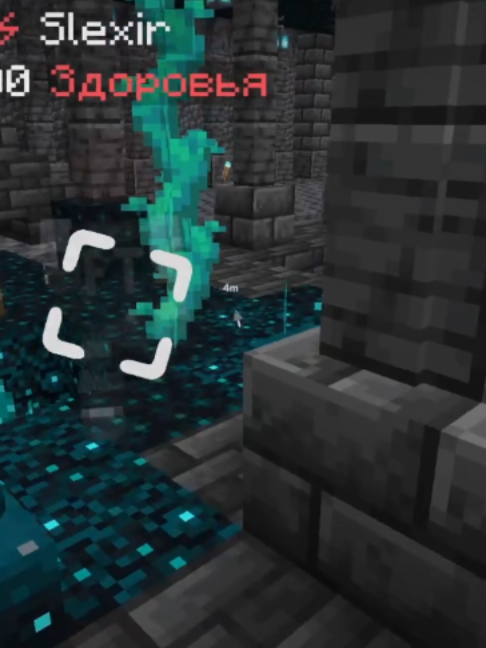 в конце самое интересное tt.funtime.su pulsevisuals.pro #funtime#PulseVisuals #Minecraft #фантайм#фт #пульс