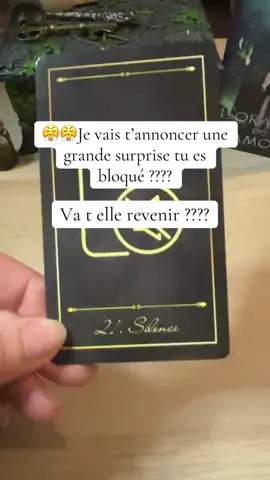 Je vais t’annoncer une belle surprise…. #tiragedujour #tiragesentimental #retouraffectif #voyancecartomancieguidance #tiktokfrance🇨🇵 