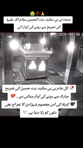 🥀 کل شام ایک عجیب و دل کو چھو لینے والا واقعہ پیش آیا... سیدہ بی بی سکینہ بنتِ حسینؑ کی ضریحِ مبارک کے قریب زائرین نے رونے جیسی آواز محسوس کی۔ 💔 یہ منظر دیکھ کر اہلِ عقیدت کے دل بھر آئے اور کربلا کی مظلوم بی بی سکینہؑ کی یاد تازہ ہو گئی۔ 🖤 سلام ہو اُس معصوم بی بیؑ پر، جن کا ذکر آج بھی دلوں کو رُلا دیتا ہے۔ یا بنتِ الحسینؑ، ہم آپؑ کے غم میں شریک ہیں۔ 🥀🕊️#foryou #viralvideo 