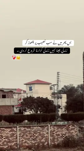 Frr 🫠❤️‍🩹 . . . . . . . #fyp #unfreezemyaccount #hamzalines #sadlines #viralvideo    