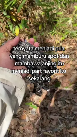 #berandamu #fyp #pemburu #anjingpintar 