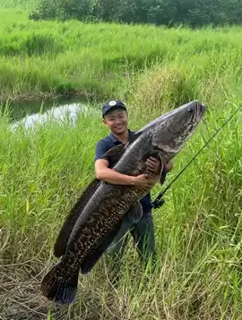 ត្រីធំណាស់