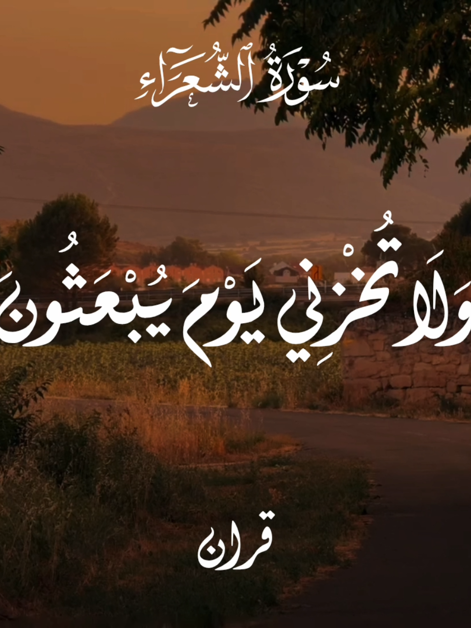 وَلَا تُخْزِنِي يَوْمَ يُبْعَثُونَ🤍🌿📻 .  .  .  .  #foryou #تلاوات_قرآنية #ارح_سمعك_بالقران #القرآن_الكريم #محمودالشحات_انور 