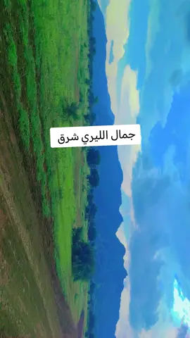 جمال جنوب كردفان الليري #لايكات 