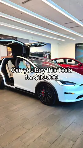 #tesla #elon #usatiktok🇺🇸 #viralvideos #viral 