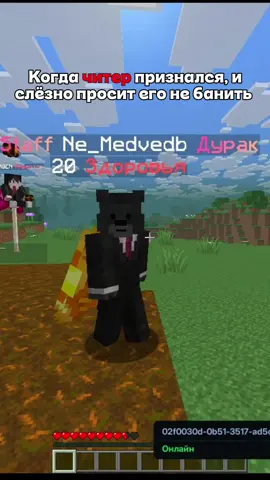 айпи: tt.funtime.su #funtime #читеры #модератор #Minecraft #cheater 