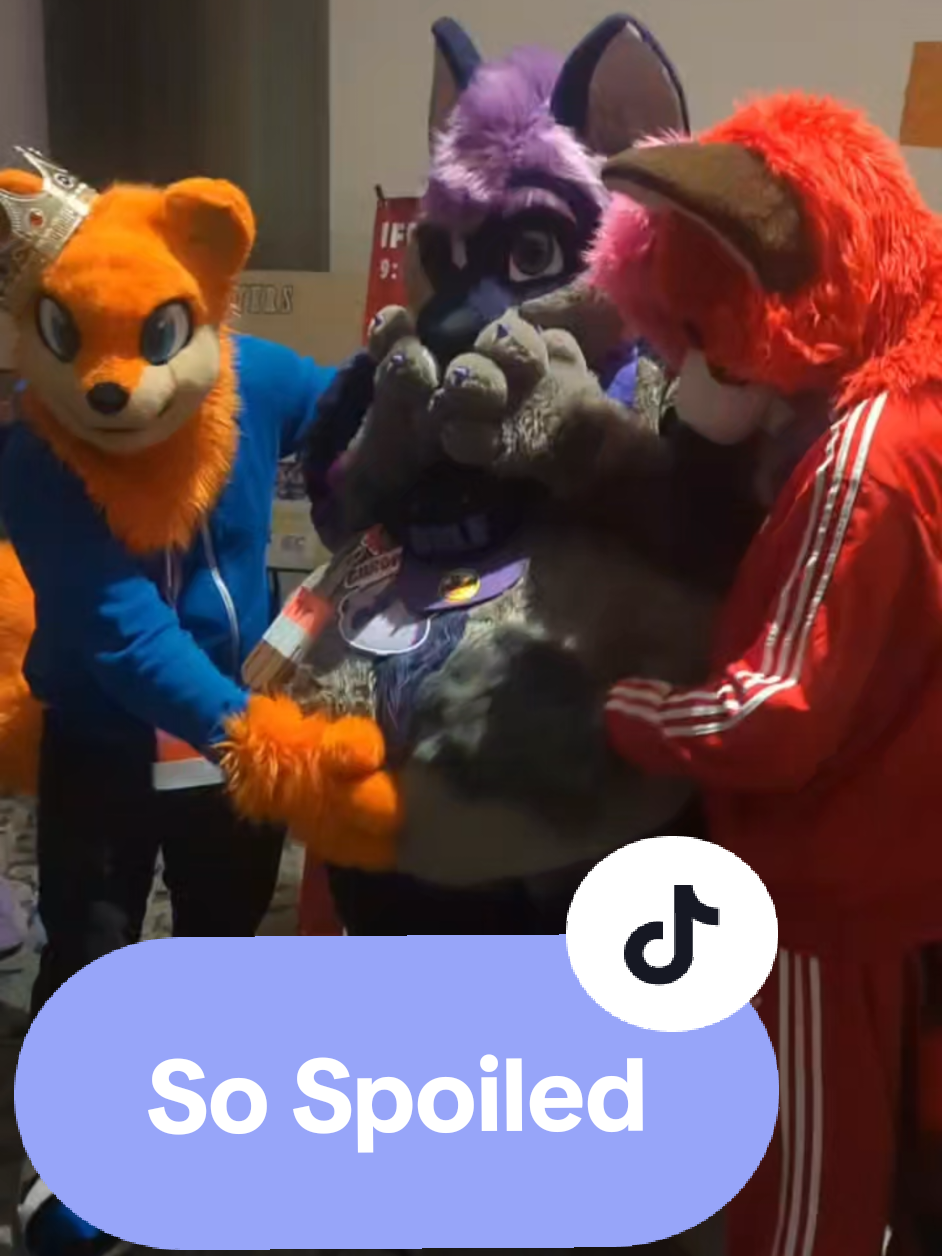 Belly rubs are the quickest way to a bolfs heart. With @Scooter and Lex/Conker #fursuit  #belly 