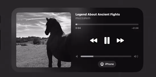 Тг: muzzalem ссылка в профиле #legendaboutancientfights#fyp #shanqobyz#nomad#turkic
