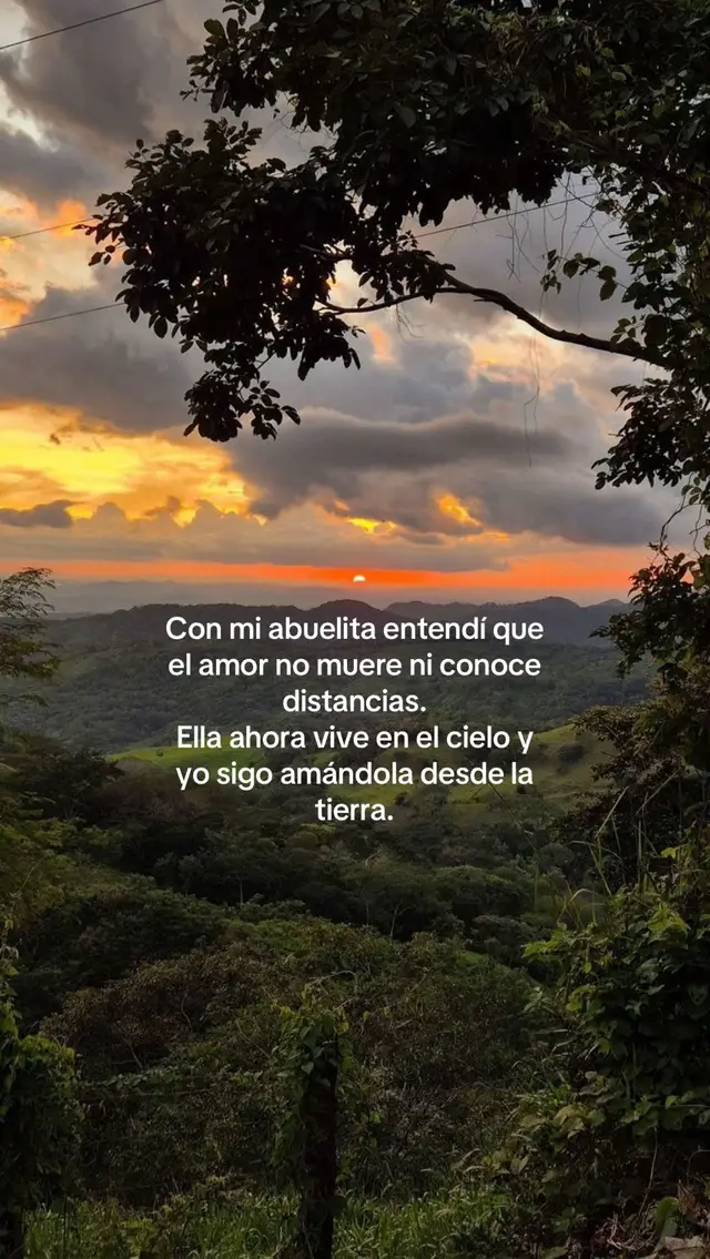 Algún día nos volveremos a encontrar 🤍