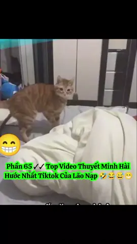 Phần 65 √√ Top Video Thuyết Minh Hài Hước Nhất Tiktok Của Lão Nạp 🤣😂😅😁#laonap #haihuoc #longtieng #viraltiktok #funnyvideos 