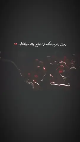 #سجاد_الجيزاني #الذاكر #هيئة_لواء_زينب #اللهم_عجل_لوليك_الفرج #ياصاحب_الزمان_ادركنا 
