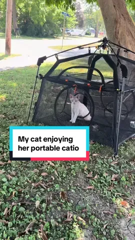 She lets me know when she’s ready to spend time outside in her catio!  I’m happy we got this one now because not only can it be moved easily, but I can fold it up and store it when we don’t need it.   This has been such a great enrichment activity for my cat 🐈 💕  #catio #catenrichment #catfurniture 