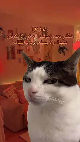 تخيل عشان كلمة كل ذا!!