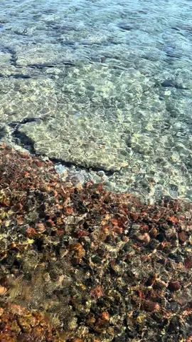 الحقيقه ان روحي لسه متعلقه في دهب😔❤️#دهب #dahab #دهب_جنوب_سيناء #egypt 