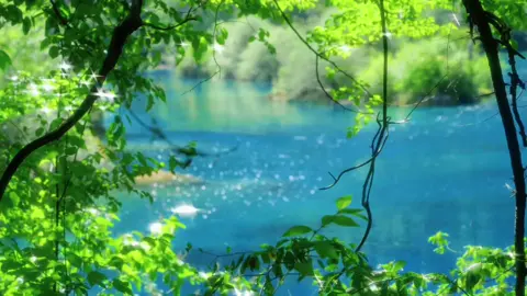 “Chúng ta đều chỉ là lữ khách ghé ngang qua thế giới này một lần mà thôi nên đừng sợ và hãy trải nghiệm mọi điều mình muốn, sẽ phải rất rất lâu ta mới ghé lại nơi này một lần nữa”. 🎐🌿