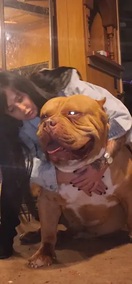 trying to pick up a 225lb monster bully