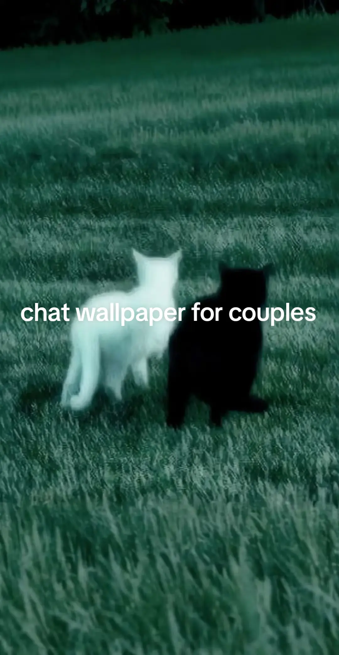 #viral #fyp #xyzbca #coupletok #couple 