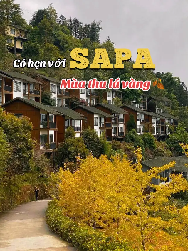 Lên kèo săn lá vàng Sapa thui các bác ơiii😗☺️ Năm nay dự là lá vàng sớm hơn năm ngoái, snag tháng10 là các bác tha hồ checkin lá vàng oyyy ạ😗🥰🥰 #sapa #xh  #themongvillage #checkinsapa #catcathillsresort  