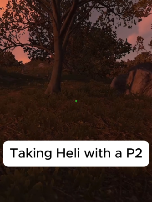 First Time in 6000 hours taking with P2#rust #rustgame