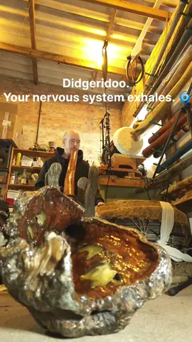 Didgeridoo. Your nervous system exhales. 🌀 #didgeridoo #nervoussystemregulation #soundhealing #vagusnerve #breathwork