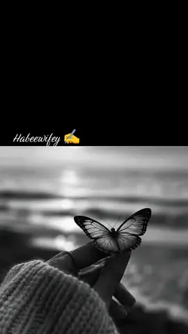 #creatorsearchinsights #trentingssongsforyou🥹💔❤️❤️🔥 #viralvideosinmyidfage✨💞✨💞💔💔❤️🥀 