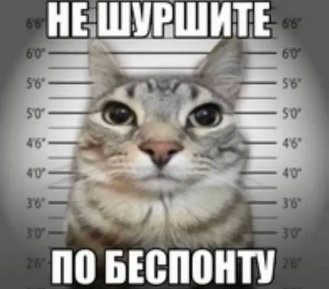 МЫ ЛУЧШИЕ ДРУЗЬЯ‼️‼️‼️‼️@dolbarik52🇷🇺🇷🇺🇷🇺  #rust #друзья #маша #impartial #бояринпрайм 