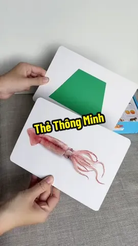 Thẻ hình thông minh cho con phát triển tư duy #lalalababy #behocquahinhanh #dayconthongminh 