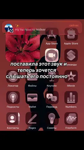 звук в тгк vonypikl пост 18 сентября#ditto #брайнмапс #звук #уведомление #newjeans 